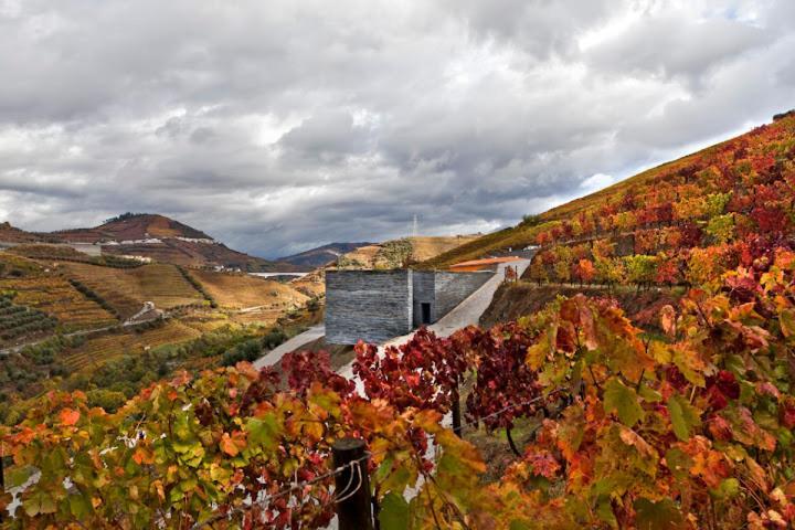 Quinta do Vallado Wine Hotel Peso da Régua Exterior foto